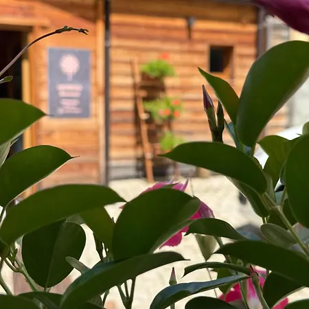 Appartamenti&wellness Piero Gros Appartamento