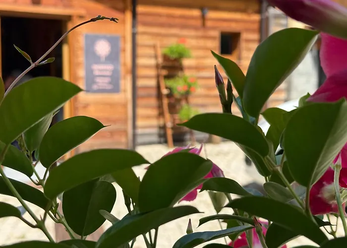 & Wellness Piero Gros Апартаменты